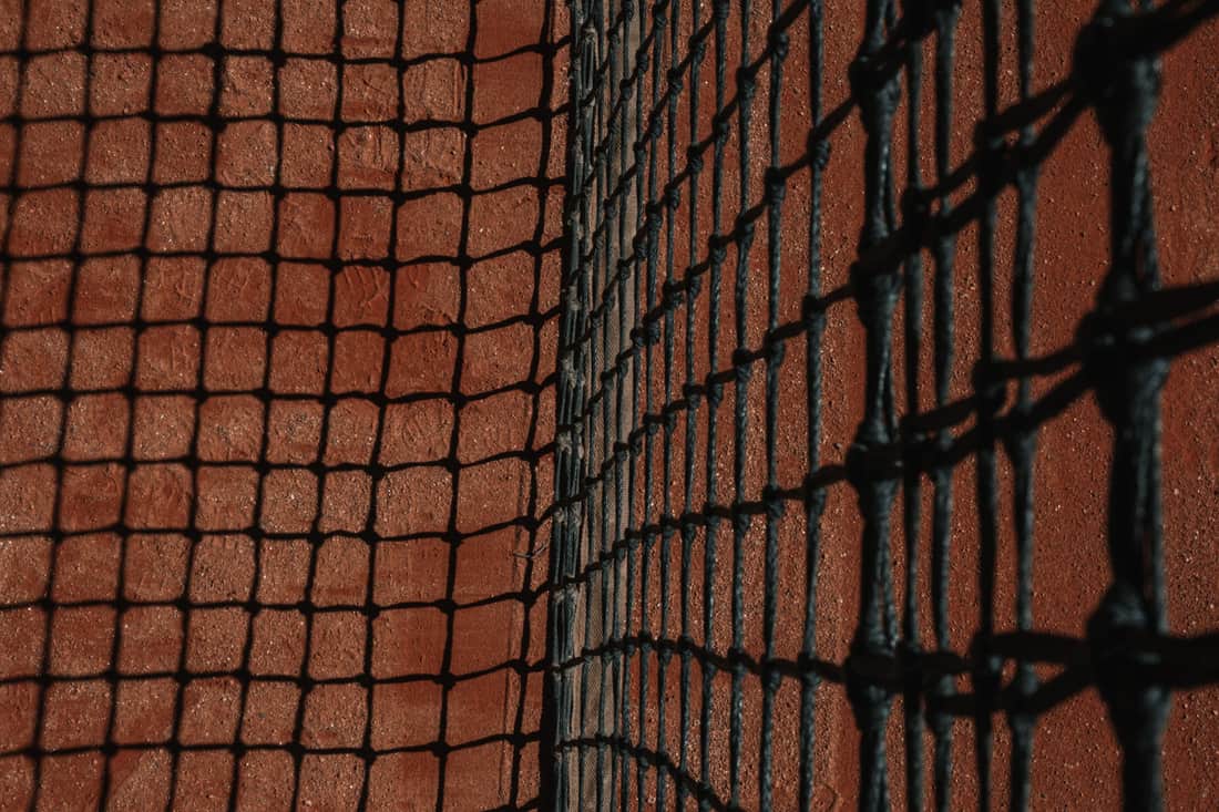 Tennis string bed close-up showing main and cross strings